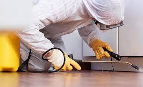 Best Pest Prevention Services  in Park Rapids, MN